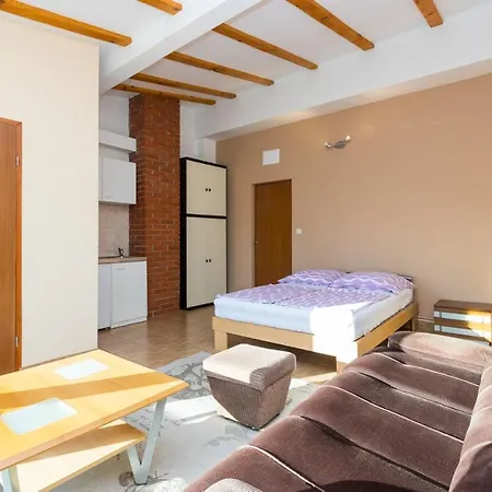 Apartment Drasko Studio *